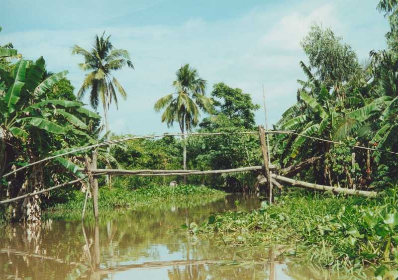 Mekong Delta - Brücke