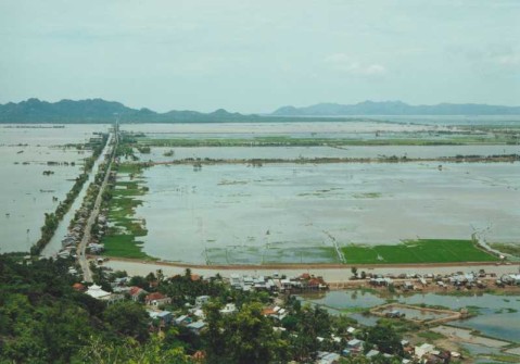Mekong Delta - Überflutete Reisfelder