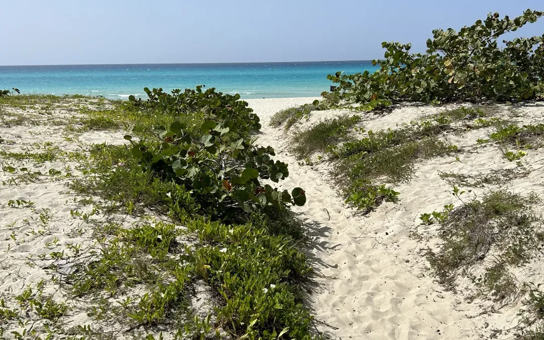 Von Varadero mit dem Mietwagen nach Cayo Coco